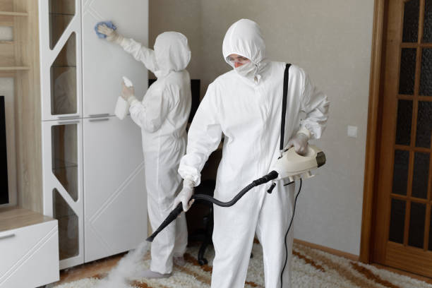 Best Mold Testing and Removal  in Machias, WA