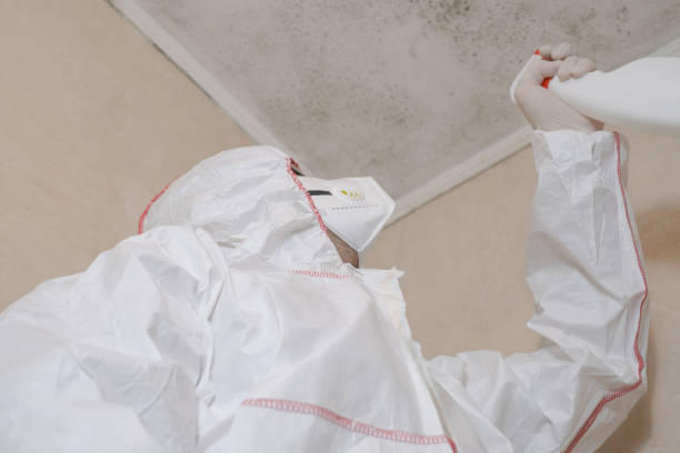 Mold Testing and Removal in Machias, WA